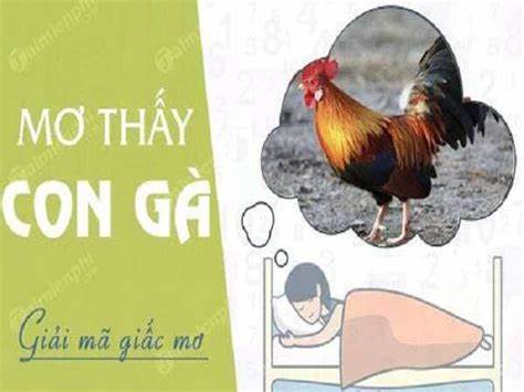 Mơ thấy con gà