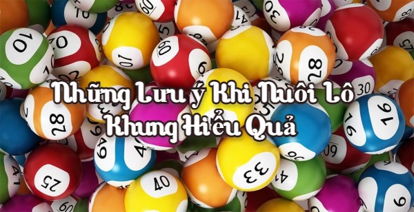 Những lưu ý khi nuôi lô khung hiểu quả 