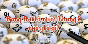 Song thủ lô nuôi khung 2 ngày là gì?