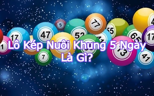 Lô kép nuôi khung 5 ngày là gì?