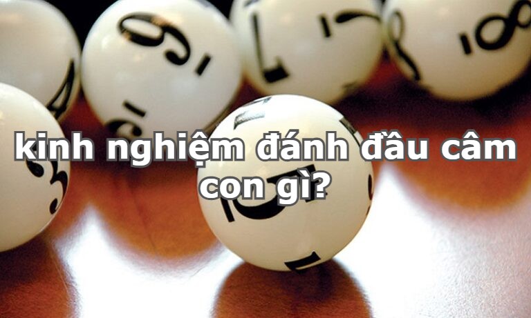 kinh nghiệm đánh đầu câm con gì?