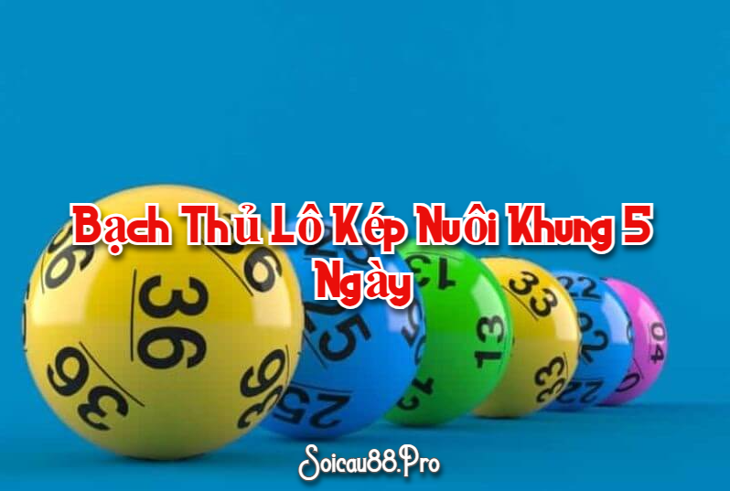 Bạch Thủ Lô Kép Nuôi Khung 5 Ngày Miền Bắc