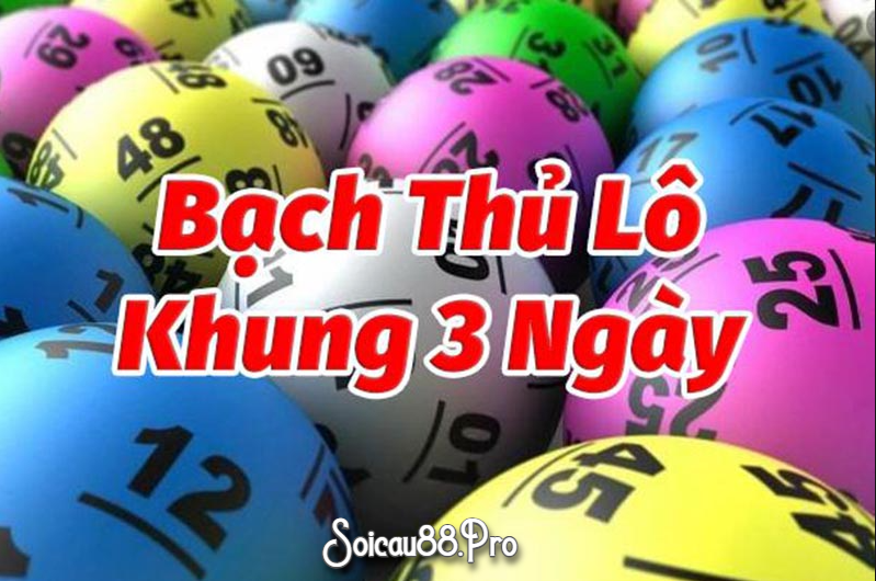 Bạch Thủ Lô Khung 3 Ngày Miền Bắc