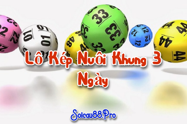 Lô Kép Nuôi Khung 3 Ngày Miền Bắc Chính Xác