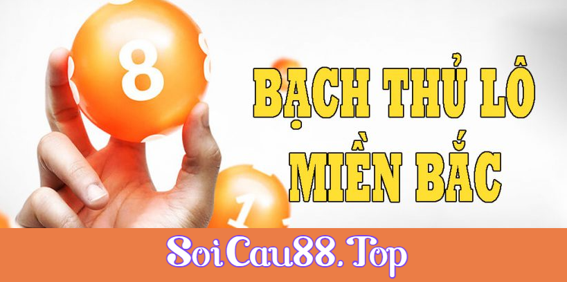 Soi Cầu Bạch Thủ Lô Miền Bắc Chính Xác