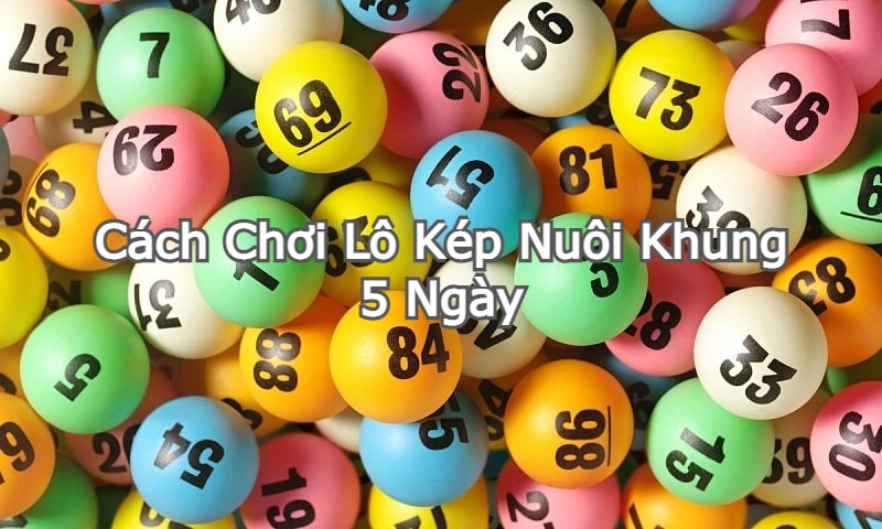 Cách chơi lô kép nuôi khung 5 ngày miền bắc