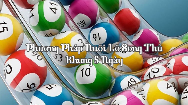 Phương pháp nuôi lô song thủ khung 5 ngày chính xác